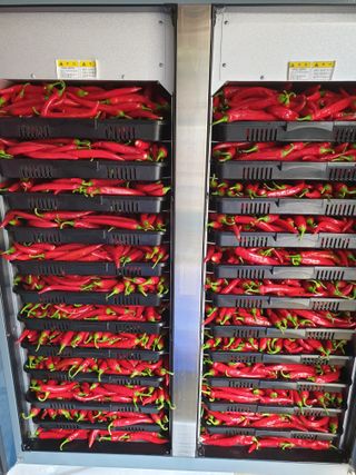 알 수 없음님의 그동안 생산한 농작물은? · 참여글 작성글 사진