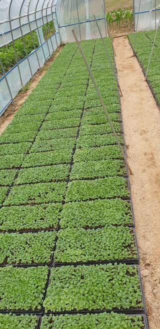 알 수 없음님의 그동안 생산한 농작물은? · 참여글 작성글 사진