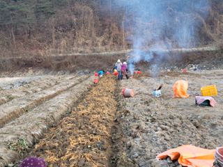 지례댁님의 그동안 생산한 농작물은? · 참여글 작성글 사진