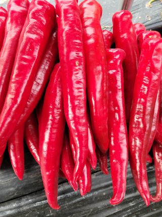 지례댁님의 그동안 생산한 농작물은? · 참여글 작성글 사진