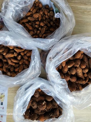 맹태임님의 기타작물 · 자유게시판 작성글 사진