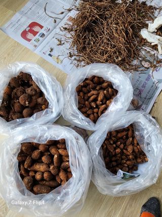 맹태임님의 기타작물 · 자유게시판 작성글 사진