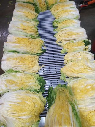 김기자(흰구름농원)님의 그동안 생산한 농작물은? · 참여글 작성글 사진