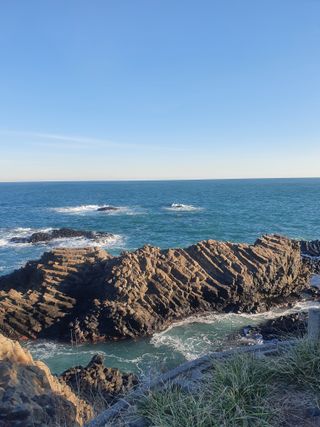 김기자(흰구름농원)님의 그동안 생산한 농작물은? · 참여글 작성글 사진