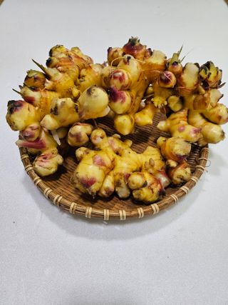 해풍님의 작성글 사진