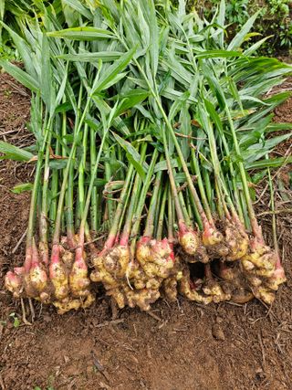 해풍님의 작성글 사진