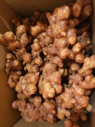 해풍님의 작성글 사진