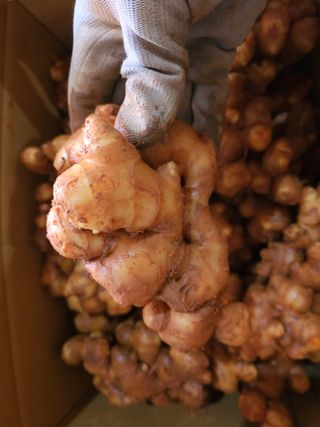 해풍님의 작성글 사진