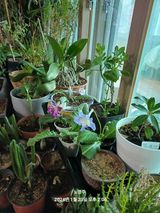 팜모닝 자유주제·자유게시판 게시글 이미지