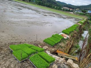 내츄럴팜 채명심님의 그동안 생산한 농작물은? · 참여글 작성글 사진