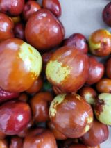 팜모닝 그동안 생산한 농작물은?·참여글 게시글 이미지