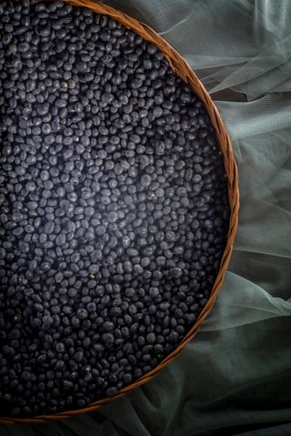 김영아님의 그동안 생산한 농작물은? · 참여글 작성글 사진