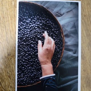 김영아님의 그동안 생산한 농작물은? · 참여글 작성글 사진