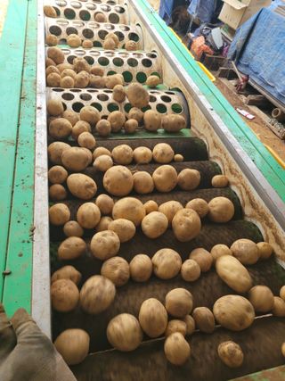 장미부인님의 그동안 생산한 농작물은? · 참여글 작성글 사진