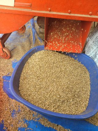 장미부인님의 그동안 생산한 농작물은? · 참여글 작성글 사진