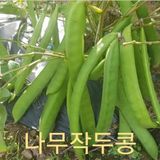 팜모닝 그동안 생산한 농작물은?·참여글 게시글 이미지