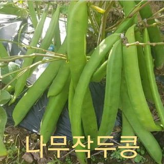 주희님의 그동안 생산한 농작물은? · 참여글 작성글 사진