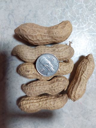 주희님의 그동안 생산한 농작물은? · 참여글 작성글 사진