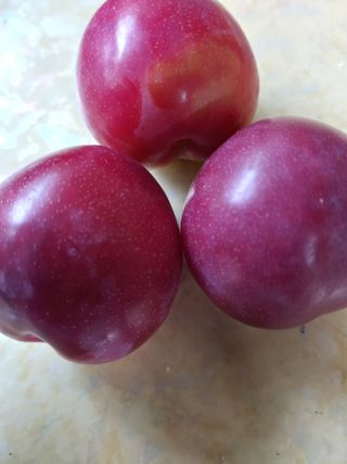 자두농부 6207님의 그동안 생산한 농작물은? · 참여글 작성글 사진