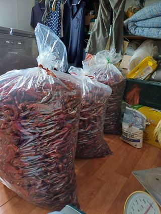 자두농부 6207님의 그동안 생산한 농작물은? · 참여글 작성글 사진