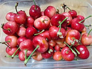 박성균님의 그동안 생산한 농작물은? · 참여글 작성글 사진