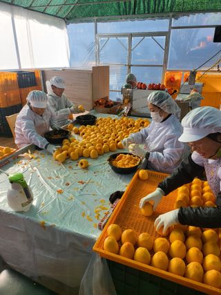 지리산홍가네농원님의 그동안 생산한 농작물은? · 참여글 작성글 사진