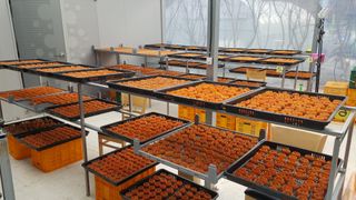 지리산홍가네농원님의 그동안 생산한 농작물은? · 참여글 작성글 사진