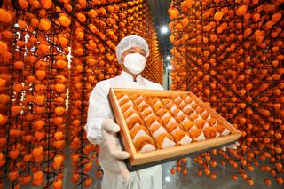 지리산홍가네농원님의 그동안 생산한 농작물은? · 참여글 작성글 사진