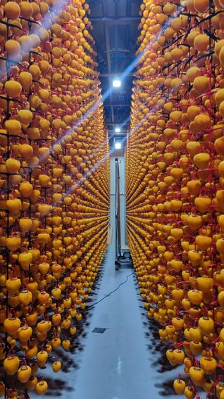 지리산홍가네농원님의 그동안 생산한 농작물은? · 참여글 작성글 사진