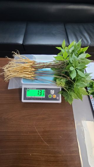 채종원님의 그동안 생산한 농작물은? · 참여글 작성글 사진