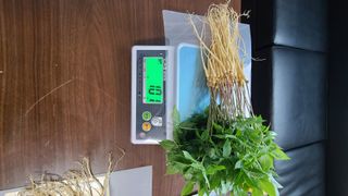 채종원님의 그동안 생산한 농작물은? · 참여글 작성글 사진