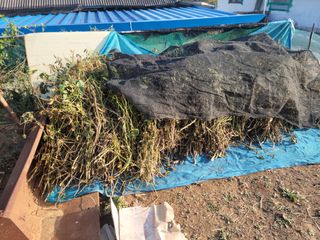 김동수님의 그동안 생산한 농작물은? · 참여글 작성글 사진