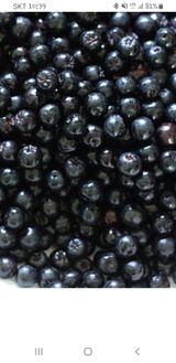 팜모닝 그동안 생산한 농작물은?·참여글 게시글 이미지