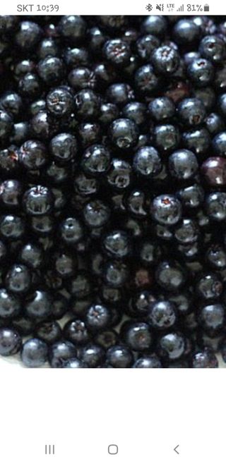 이복순님의 그동안 생산한 농작물은? · 참여글 작성글 사진