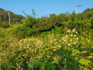 황정희님의 그동안 생산한 농작물은? · 참여글 작성글 사진