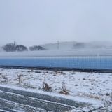 팜모닝 그동안 생산한 농작물은?·참여글 게시글 이미지