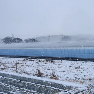 하하하레몬원님의 그동안 생산한 농작물은? · 참여글 작성글 사진