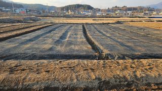 조병대님의 그동안 생산한 농작물은? · 참여글 작성글 사진