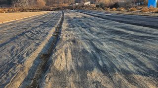 조병대님의 그동안 생산한 농작물은? · 참여글 작성글 사진