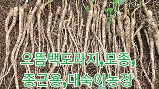 조병대님의 그동안 생산한 농작물은? · 참여글 작성글 사진