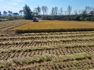 황재운님의 그동안 생산한 농작물은? · 참여글 작성글 사진