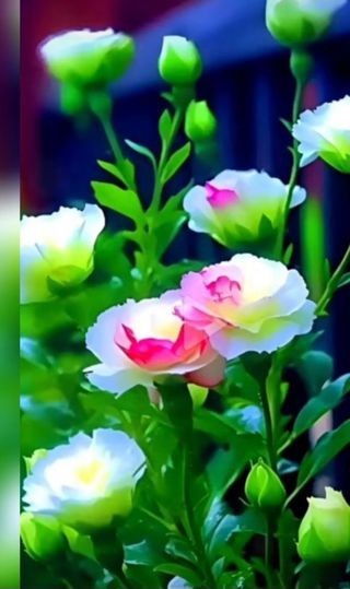 혁이네농원님의 그동안 생산한 농작물은? · 참여글 작성글 사진