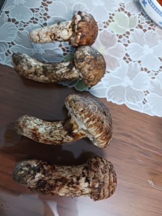 혁이네농원님의 그동안 생산한 농작물은? · 참여글 작성글 사진