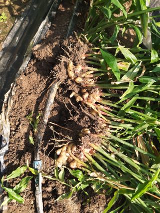 이름없음유성일님의 기타작물 · 자유게시판 작성글 사진