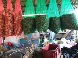 이름없음유성일님의 기타작물 · 자유게시판 작성글 사진