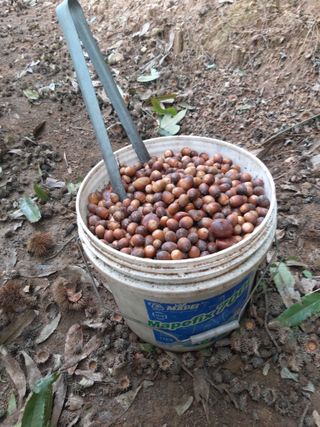 이름없음유성일님의 기타작물 · 자유게시판 작성글 사진