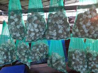 이름없음유성일님의 기타작물 · 자유게시판 작성글 사진