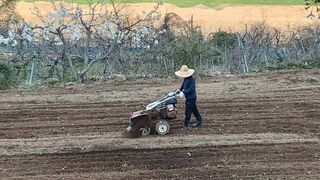 여백님의 그동안 생산한 농작물은? · 참여글 작성글 사진