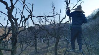 여백님의 그동안 생산한 농작물은? · 참여글 작성글 사진