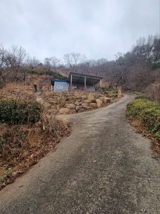 오용준님의 그동안 생산한 농작물은? · 참여글 작성글 사진